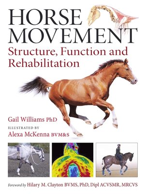 cover image of Horse Movement